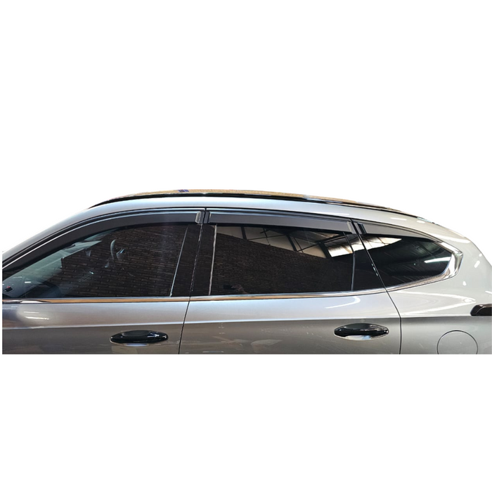 Haval Jolion Pro Window Shields